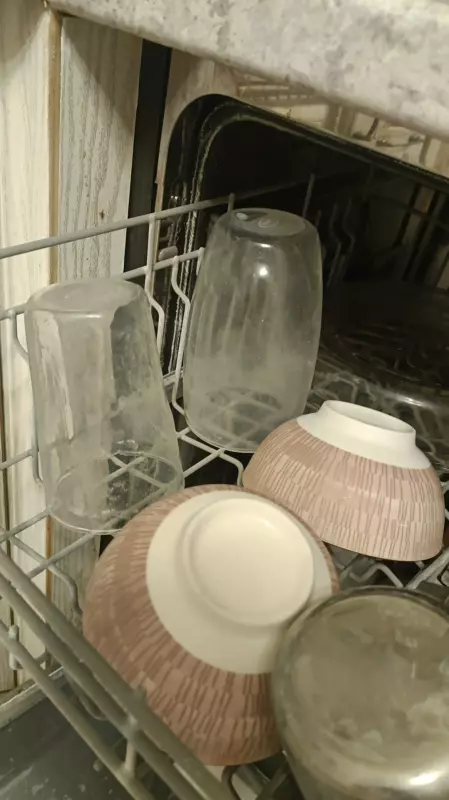 Неисправности посудомойки