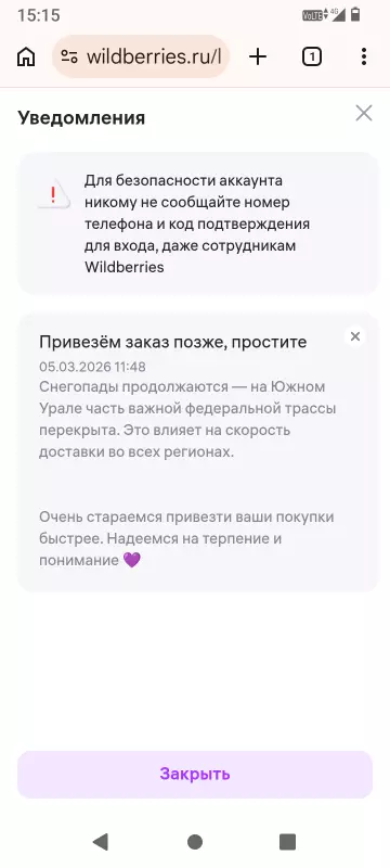 Кто имеет опыт покупки товаров на Wildberries?