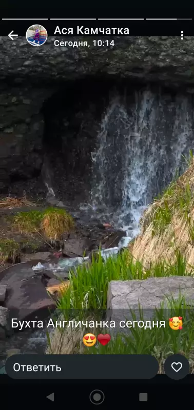 Чайная беседка