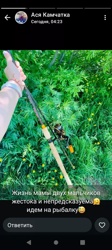 Чайная беседка