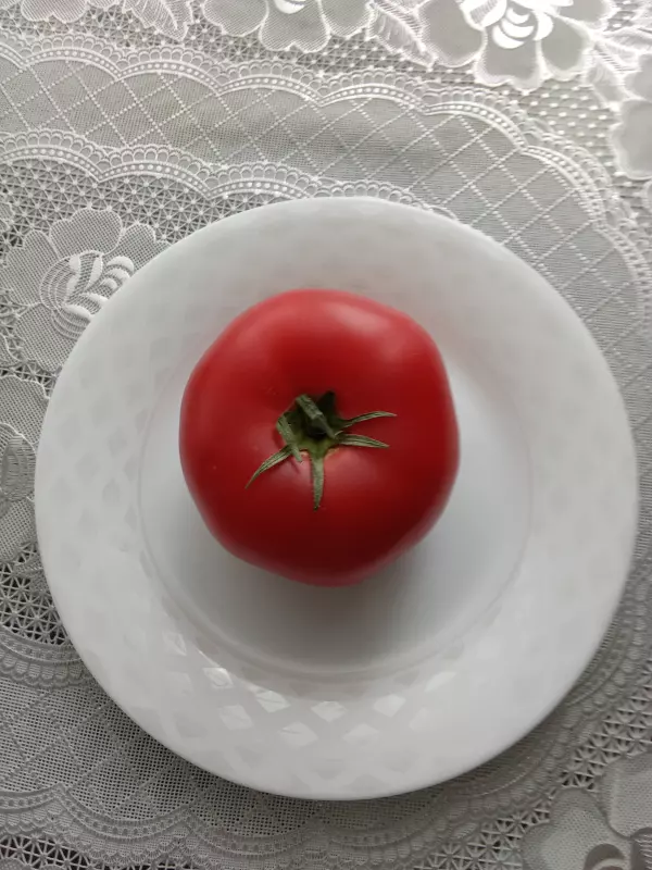 Чайная беседка