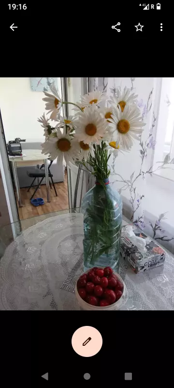 Чайная беседка
