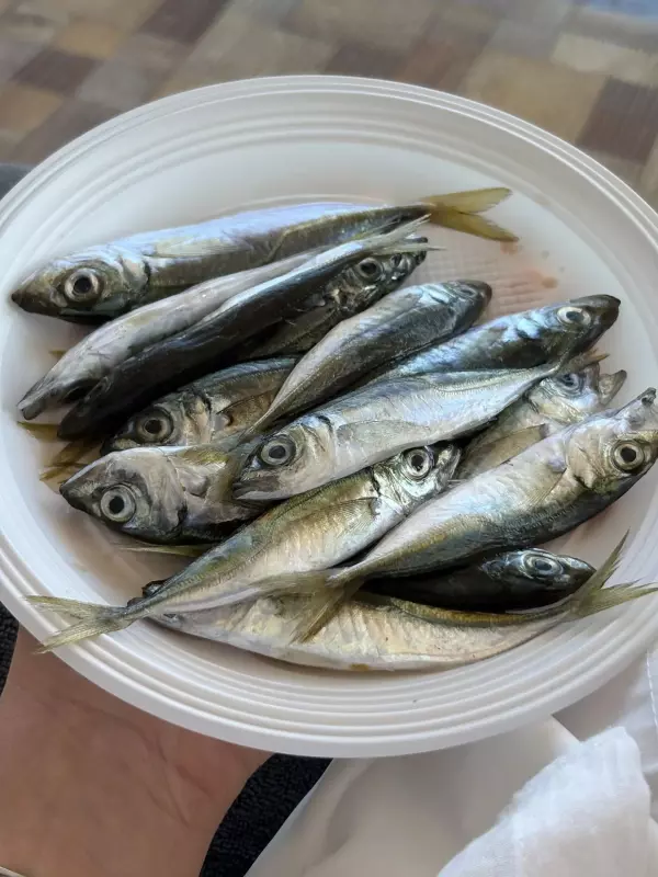 Чайная беседка
