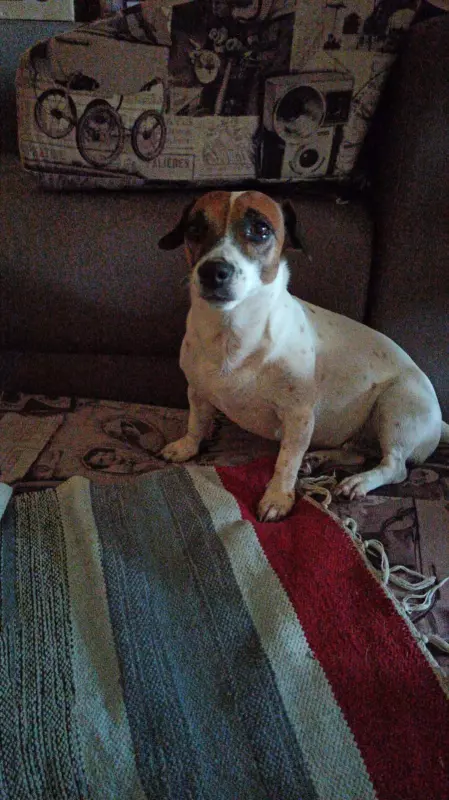 Вышивка крестиком