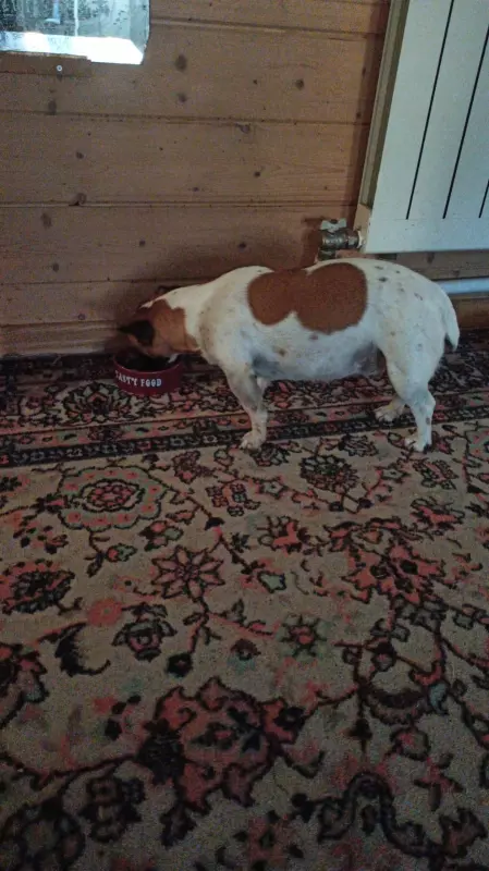 Вышивка крестиком