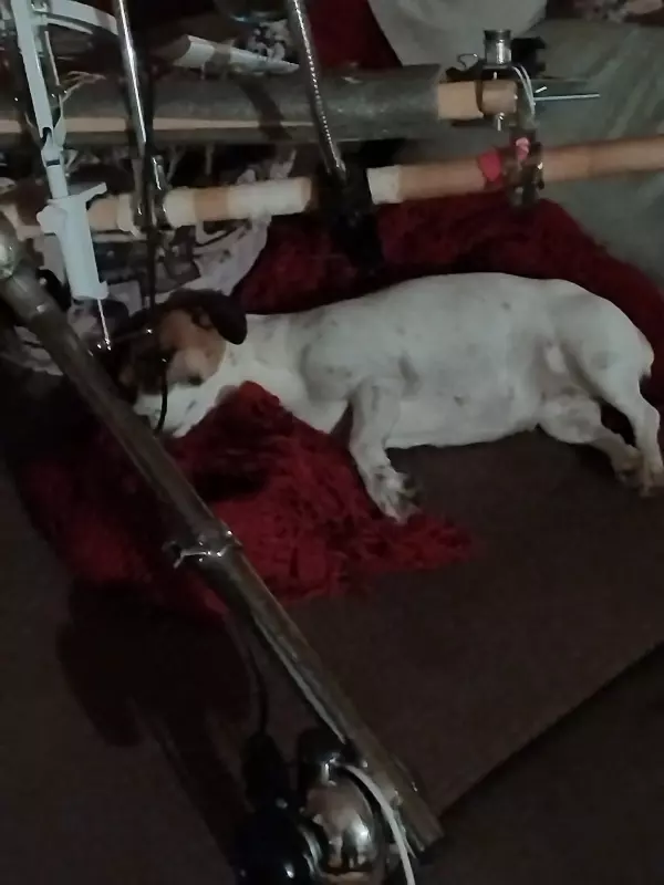 Вышивка крестиком