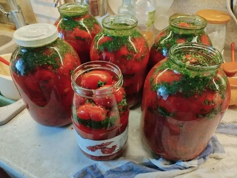 Помидорный эксперимент