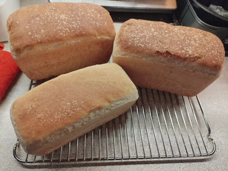 Простой пшеничный хлеб на каждый день в хлебопечке Hyundai HYBM-4081