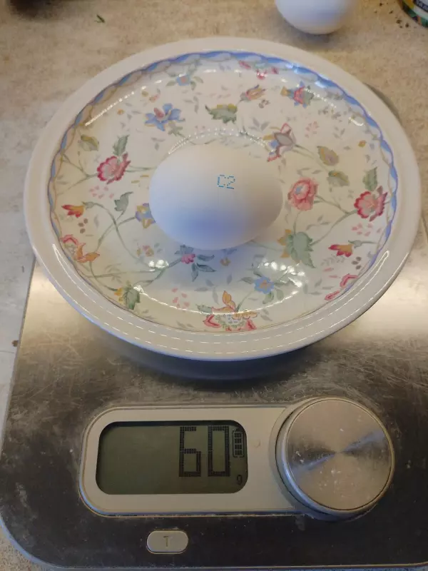 Покупки в магазинах экономкласса типа Светофор или Фикс Прайс