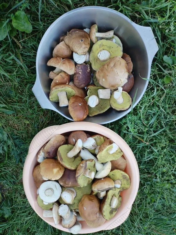 Чайная беседка