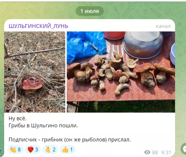 Чайная беседка