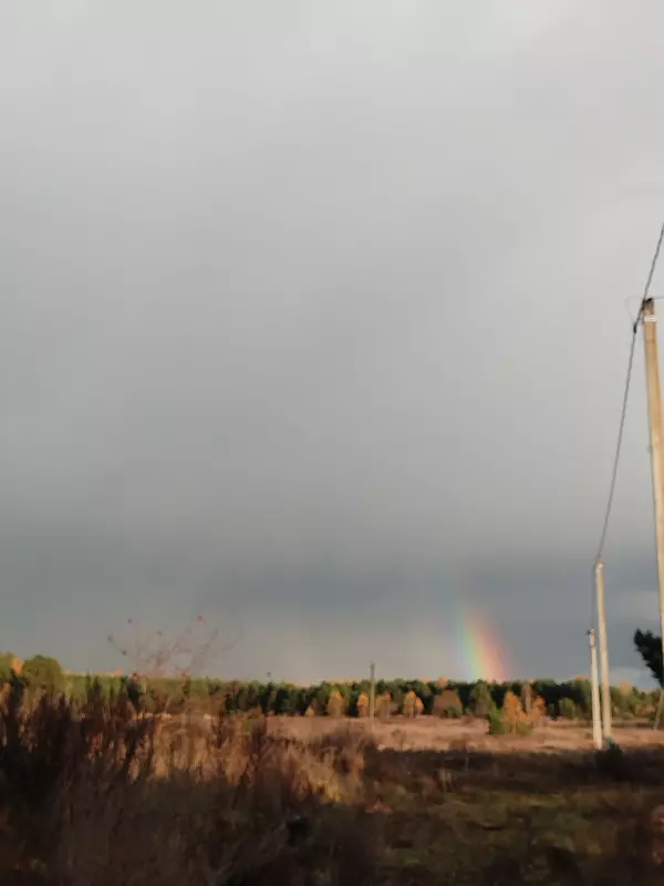 Чайная беседка