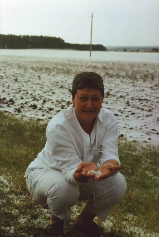 Чайная беседка