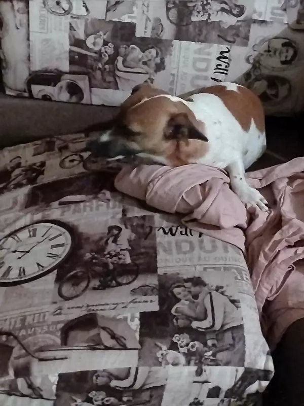 Чайная беседка