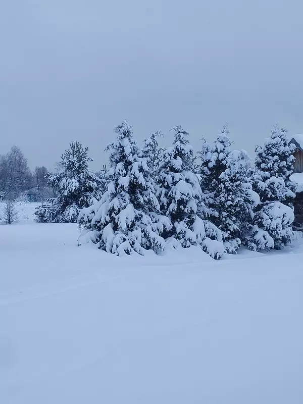 Чайная беседка