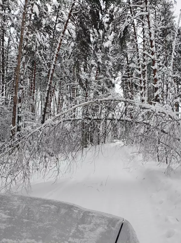 Чайная беседка