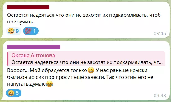 Посмеялся сам - поделись с другом!!!