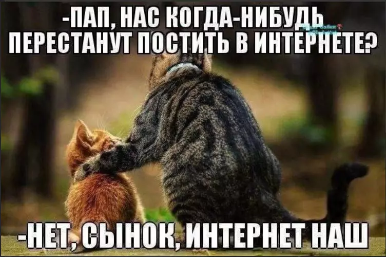 Посмеялся сам - поделись с другом!!!