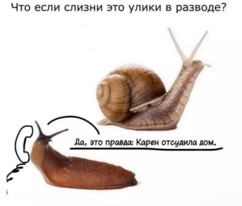 Посмеялся сам - поделись с другом!!!