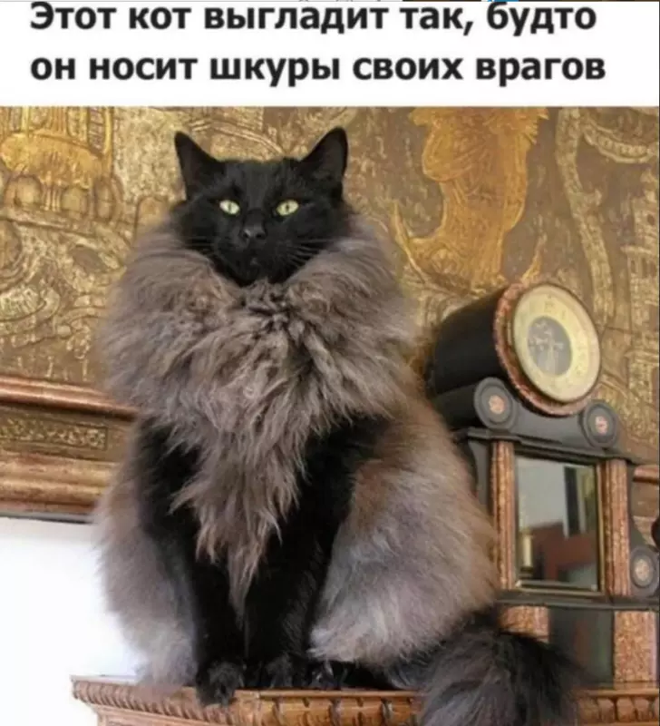 Посмеялся сам - поделись с другом!!!