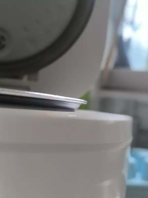 Умная МИНИ рисоварка Xiaomi MiJia Smart Rice Cooker 1,6 L (DFB201CM)