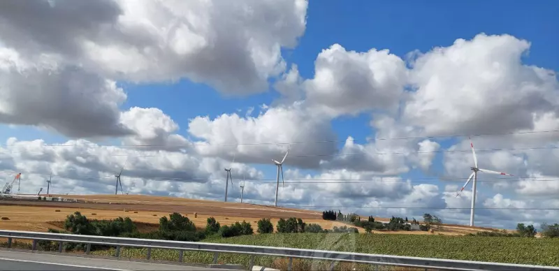 Такое разное небо