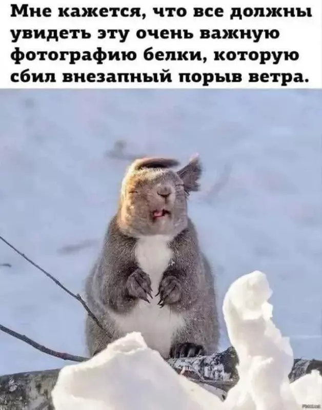 Посмеялся сам - поделись с другом!!!