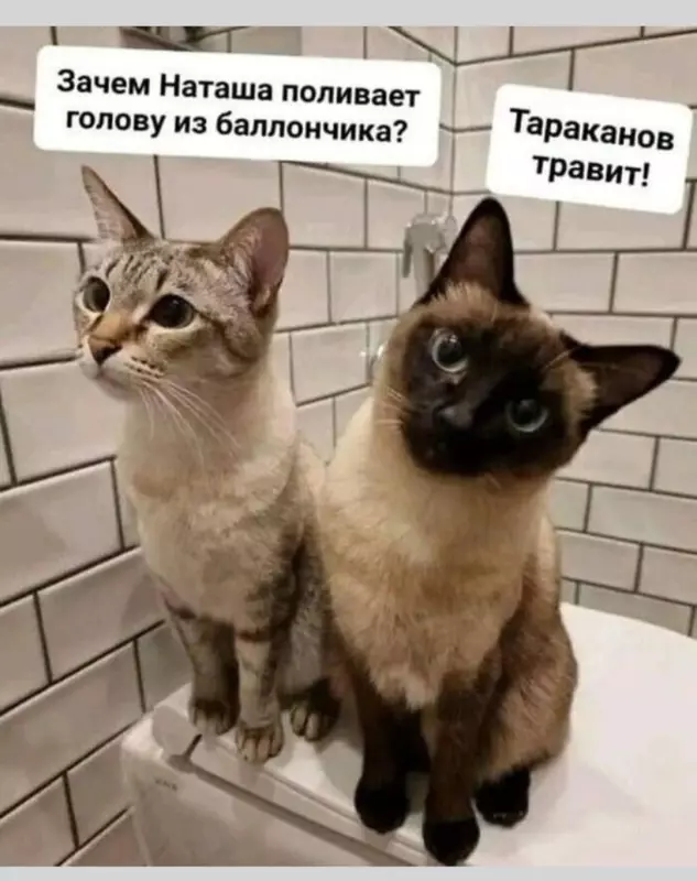 Развод и девичья фамилия