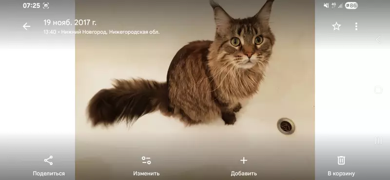 Tapтaлeтки & Ко