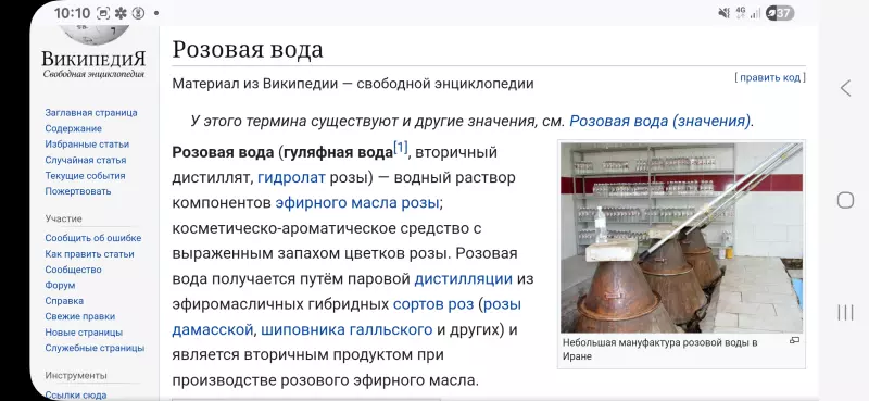 Кто имеет опыт покупки товаров на Wildberries?