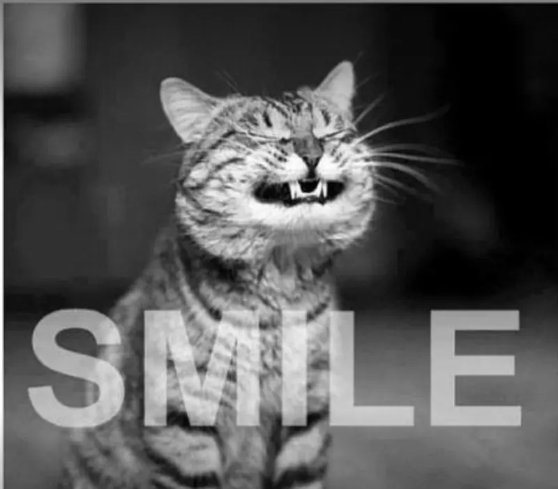 10 привычек людей с идеально чистым домом