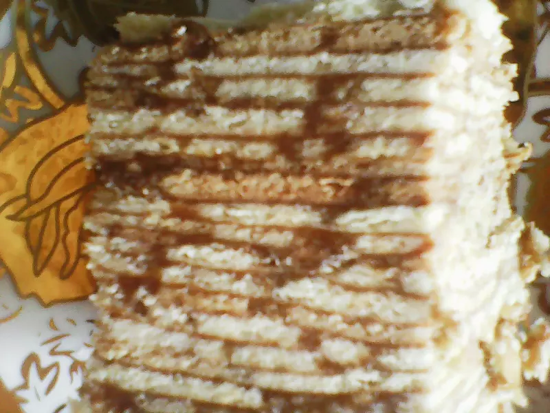 Tortilla Maker или тортилья мейкер. Чапатница или прибор для выпекания лепёшек