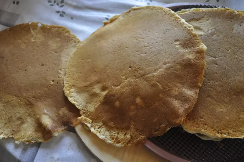 Tortilla Maker или тортилья мейкер. Чапатница или прибор для выпекания лепёшек