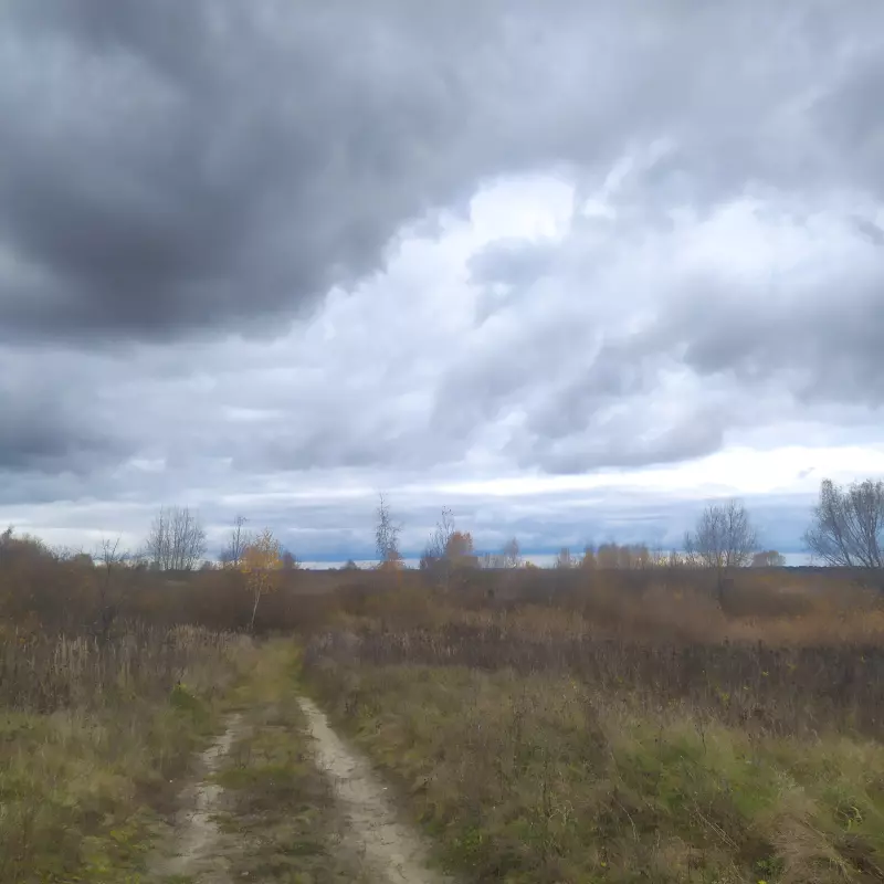 Чайная беседка