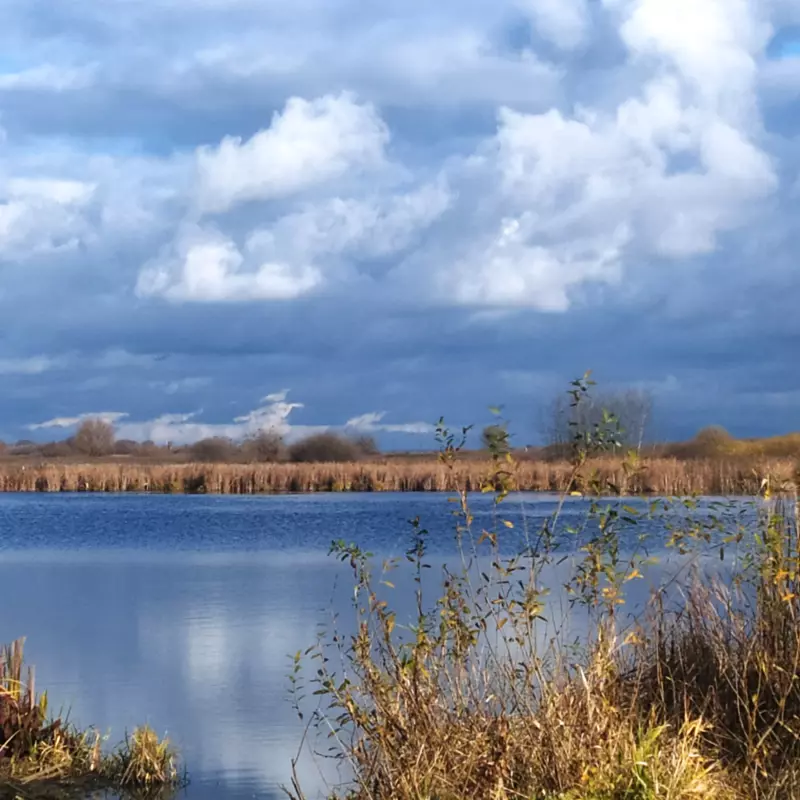 Чайная беседка