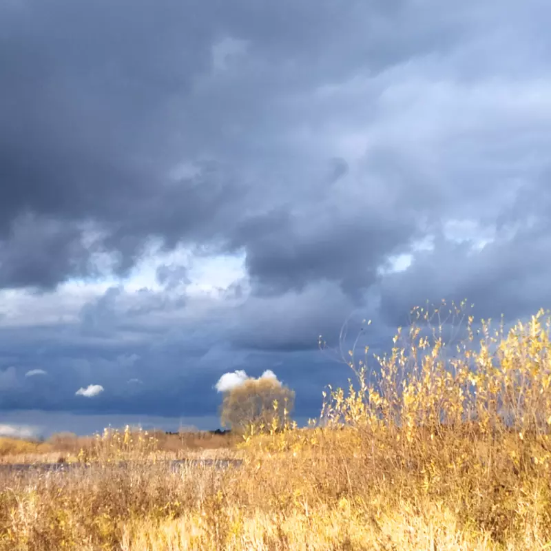 Чайная беседка