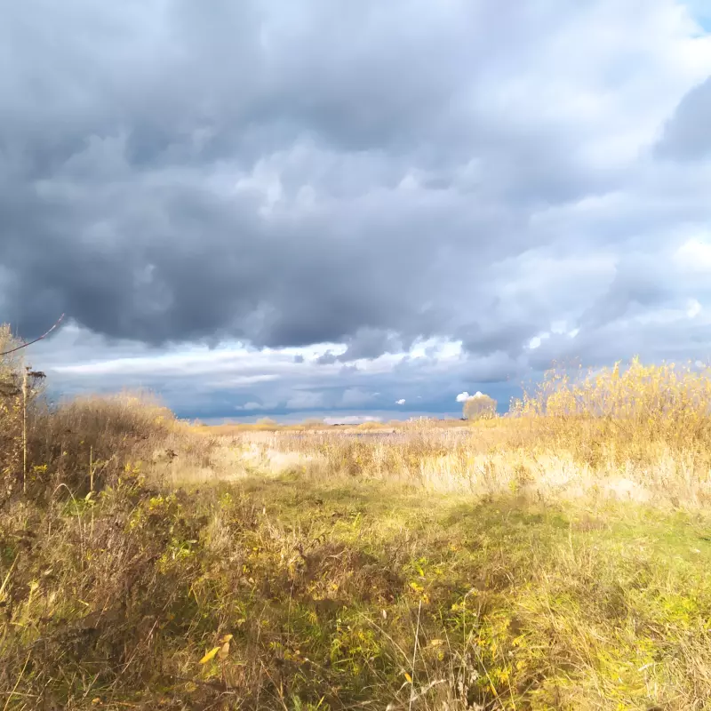 Чайная беседка