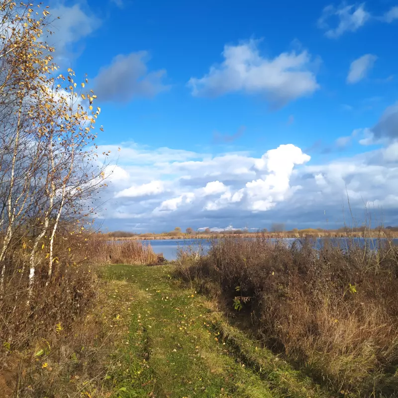 Чайная беседка