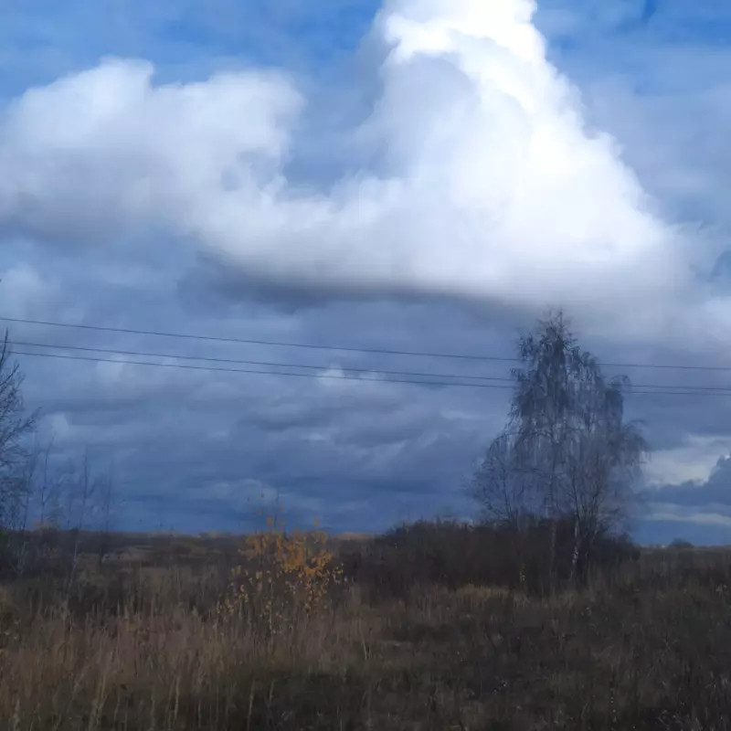 Чайная беседка