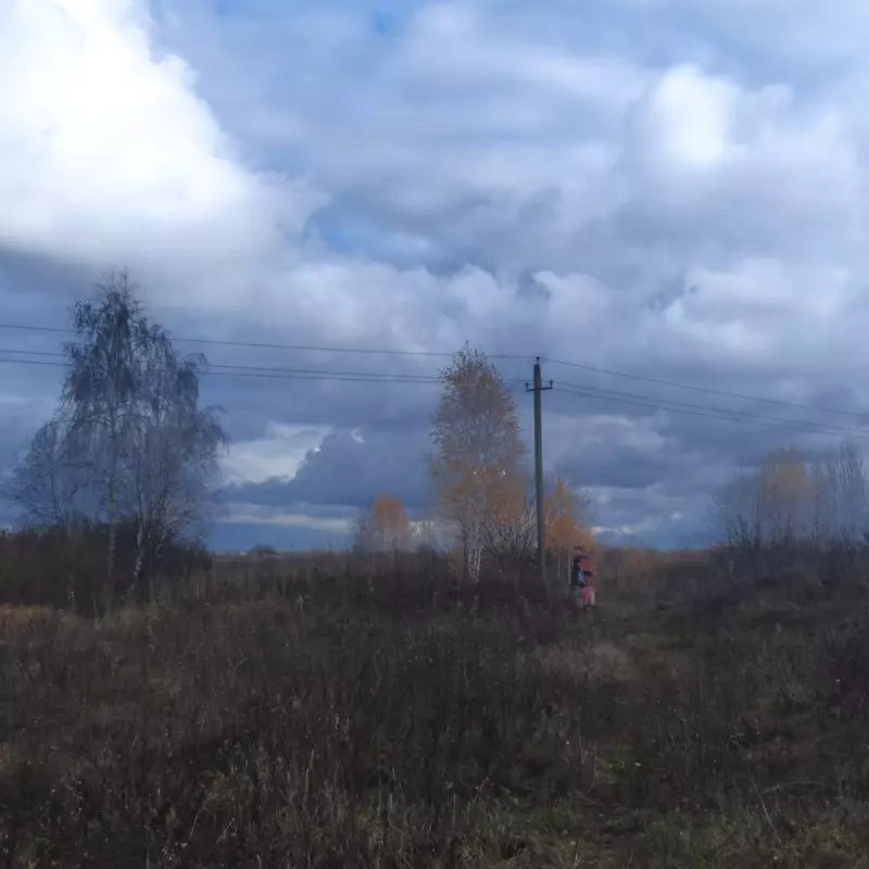 Чайная беседка