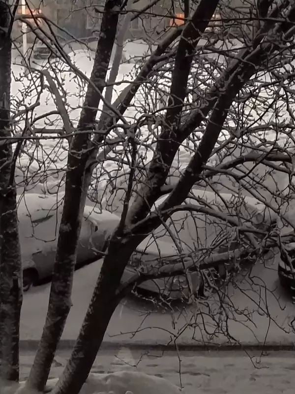 Чайная беседка