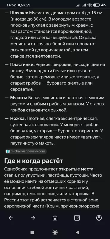 Чайная беседка