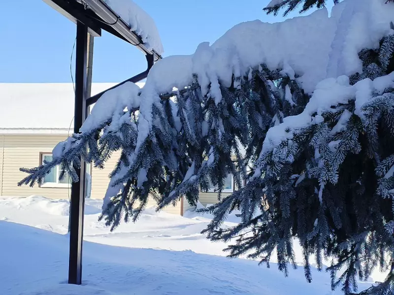 Чайная беседка