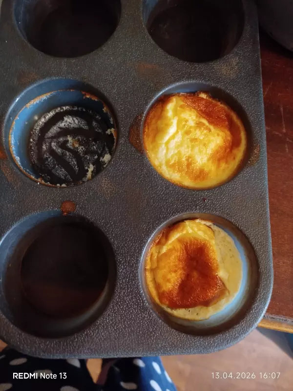 Аэрогриль: выбор модели, советы, отзывы (2)