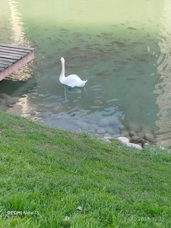 Вышивка крестиком