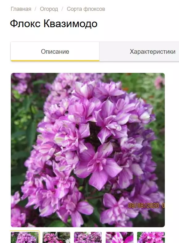 Загородная жизнь - обустройство на земле во всем разнообразии