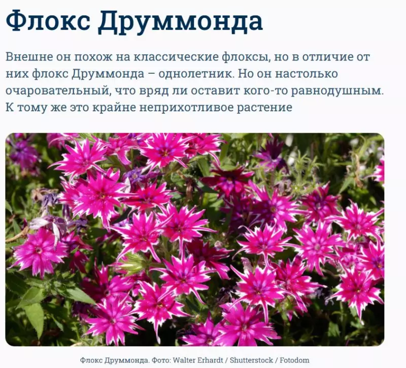 Загородная жизнь - обустройство на земле во всем разнообразии