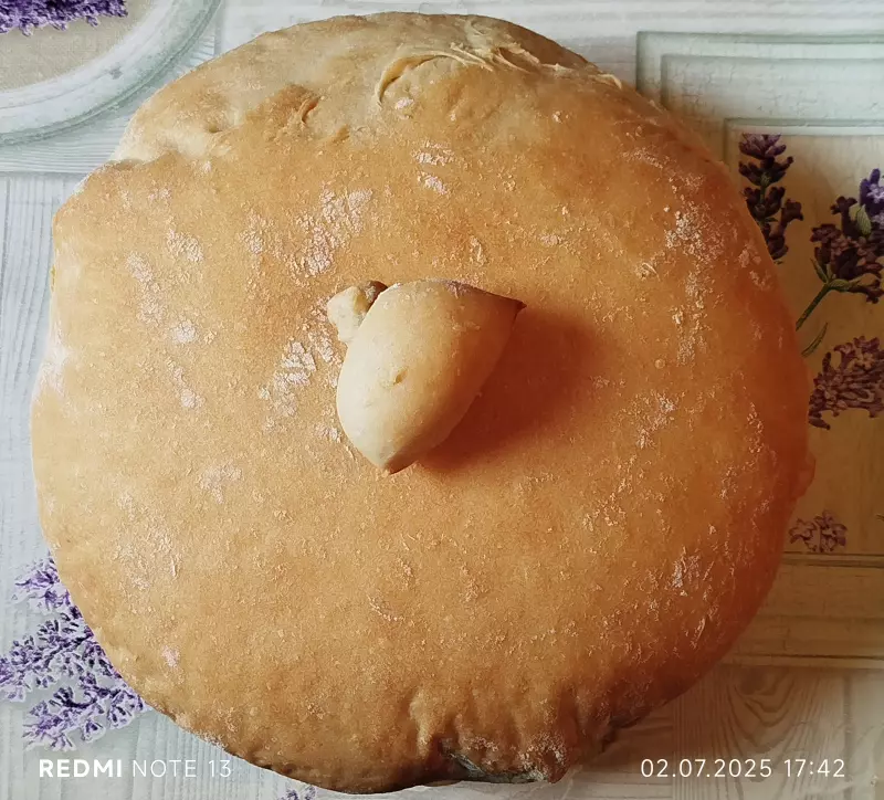 Tapтaлeтки & Ко