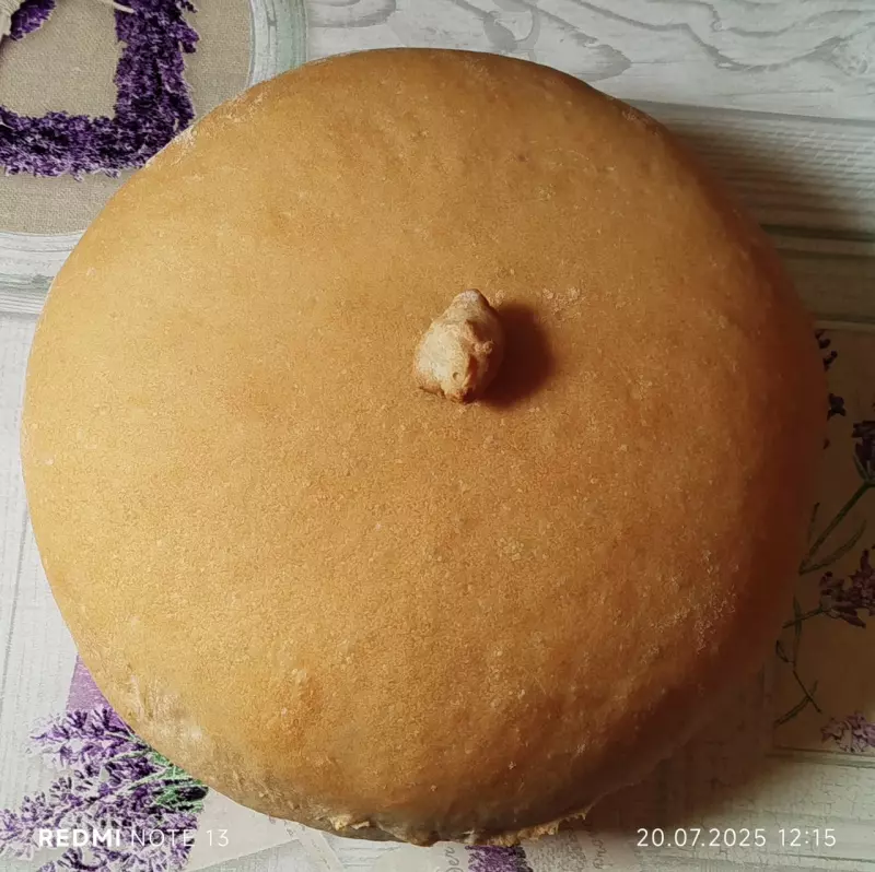 Tapтaлeтки & Ко
