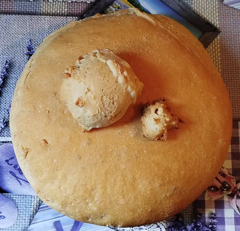 Tapтaлeтки & Ко
